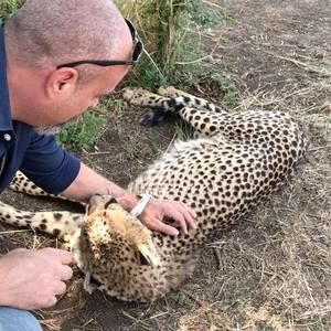 Meet your Posher, Adam